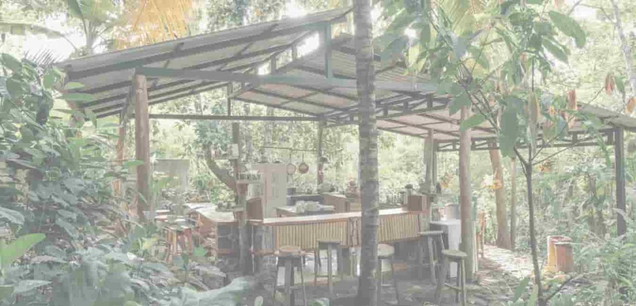 Lodge La Bambouseraie
