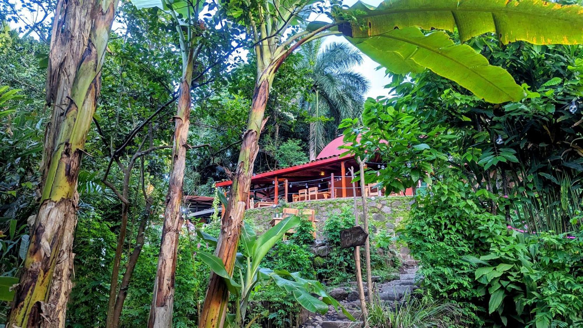 La Bambouseraie Lodge Balgue