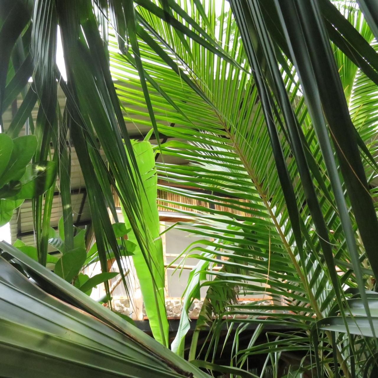 La Bambouseraie Lodge Balgue