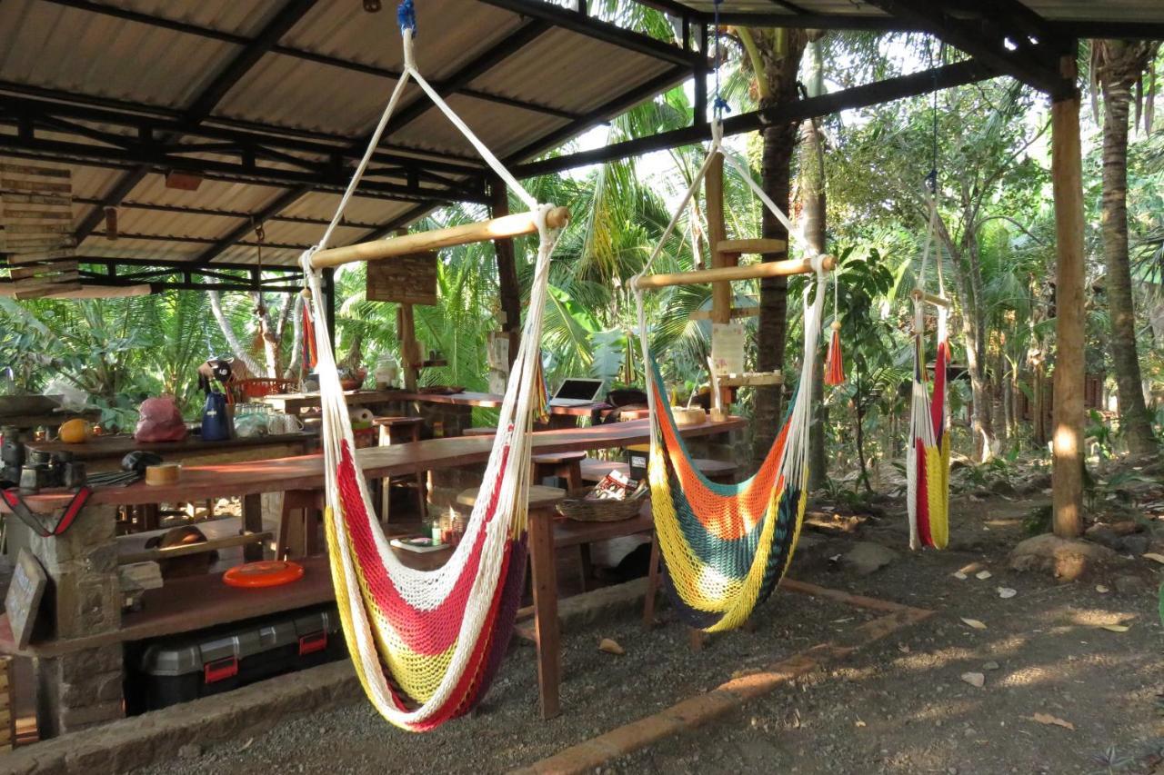 La Bambouseraie Lodge *