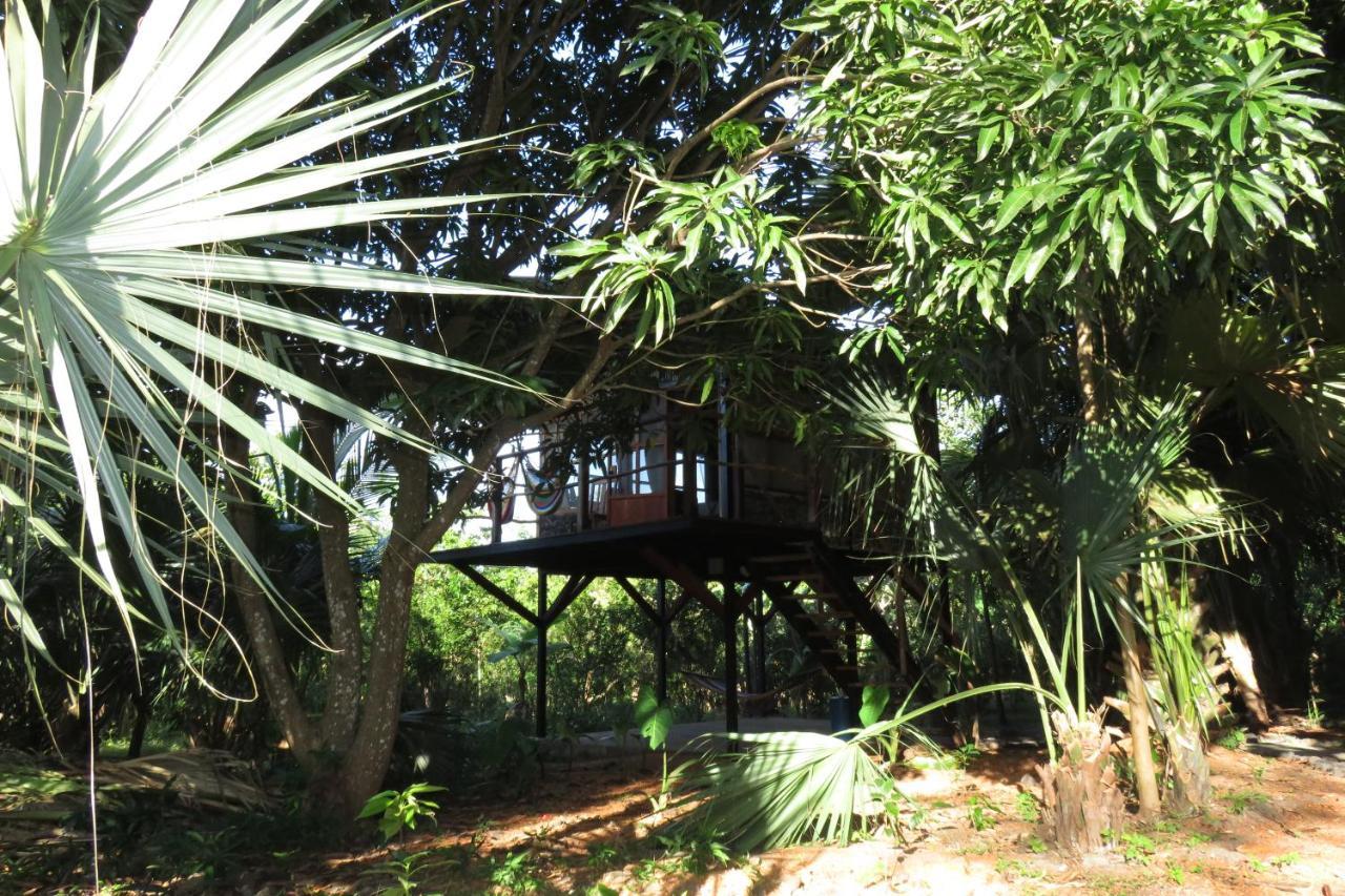 Lodge La Bambouseraie Balgue