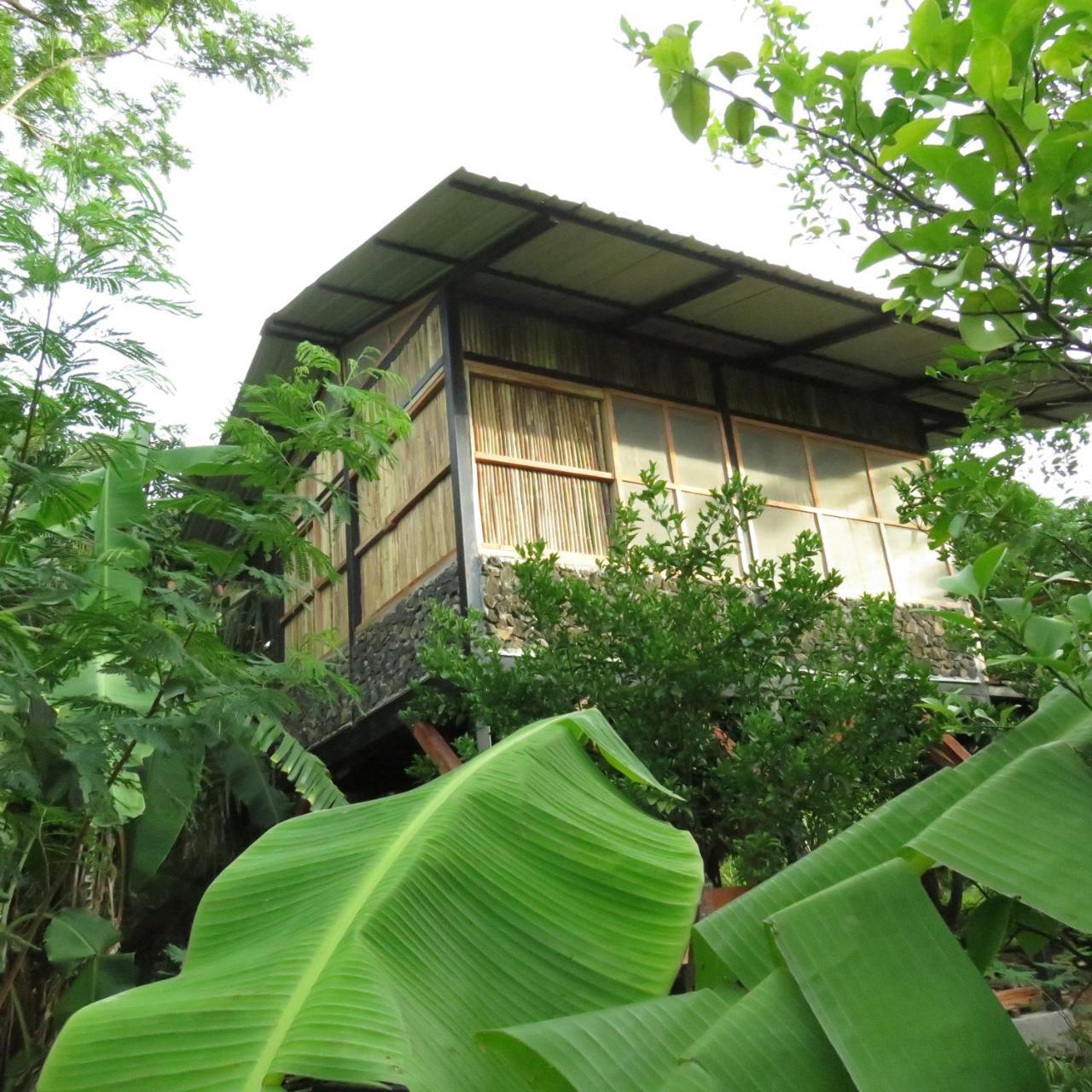 La Bambouseraie Lodge Balgue