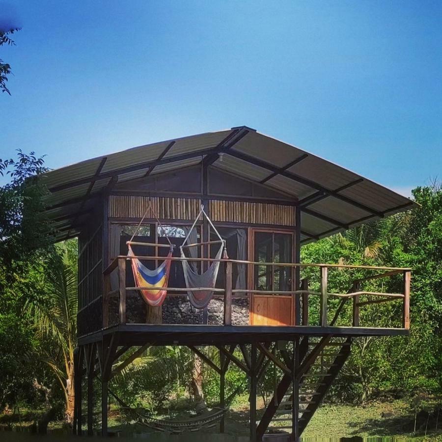 Lodge La Bambouseraie
