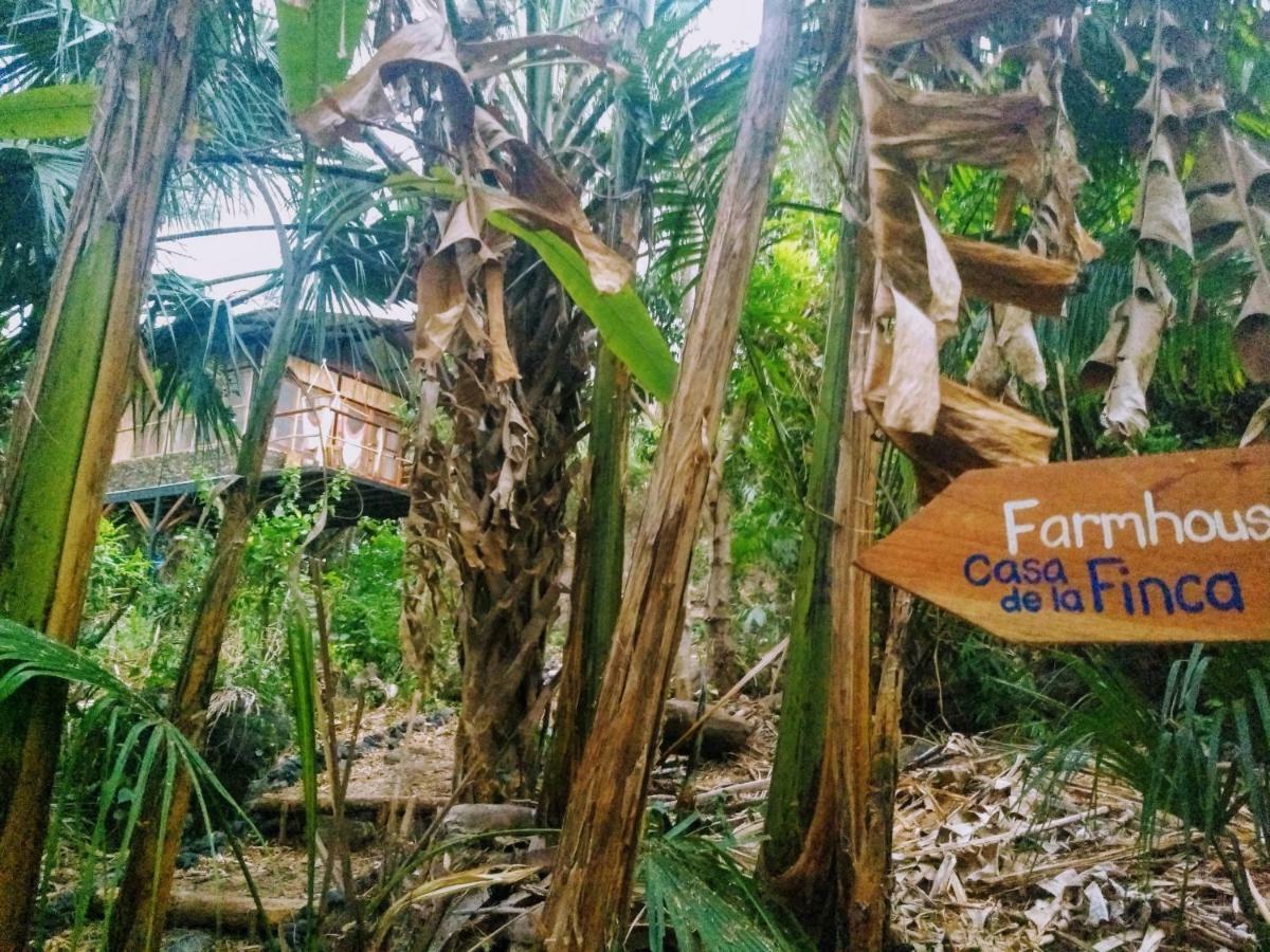 La Bambouseraie Lodge