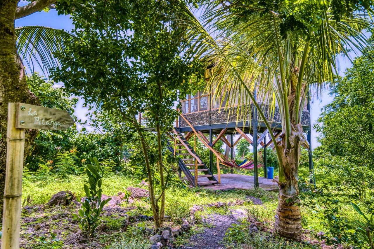 La Bambouseraie Lodge Balgue